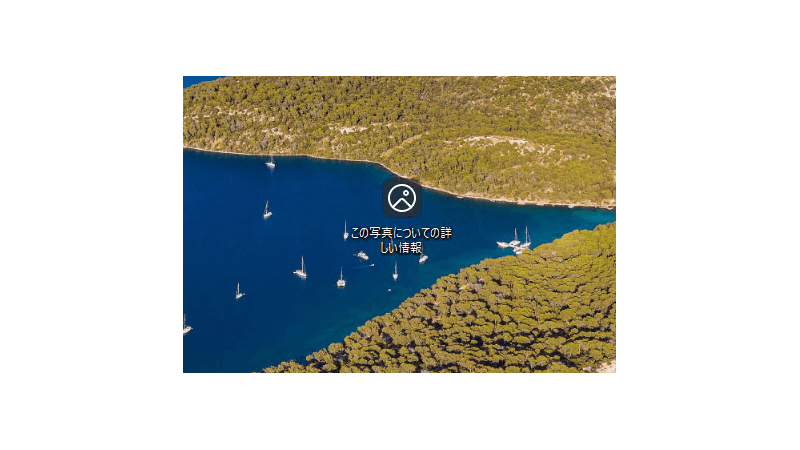 「この写真についての詳しい情報」というアイコンが突然表示されたスクリーンショット