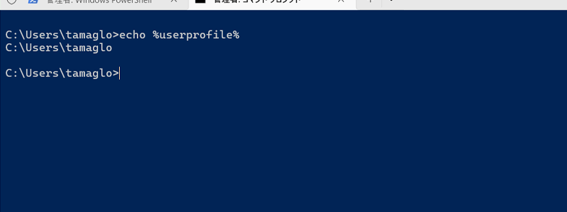 一時プロファイルになってないかチェックするコマンドを実行した画像