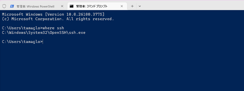コマンドを使えばインストール先が表示される画像